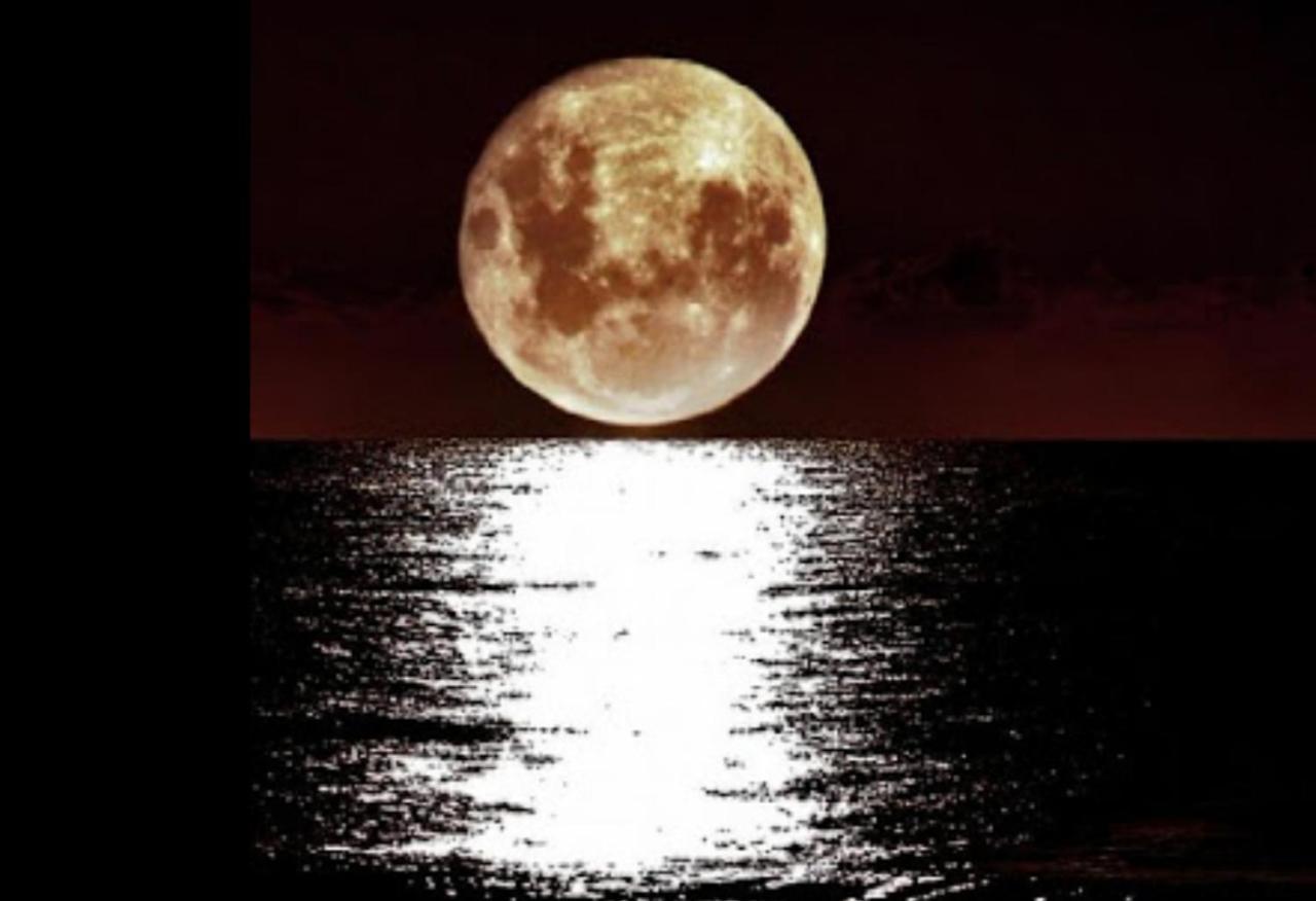Luna-guest Apart-hotel *